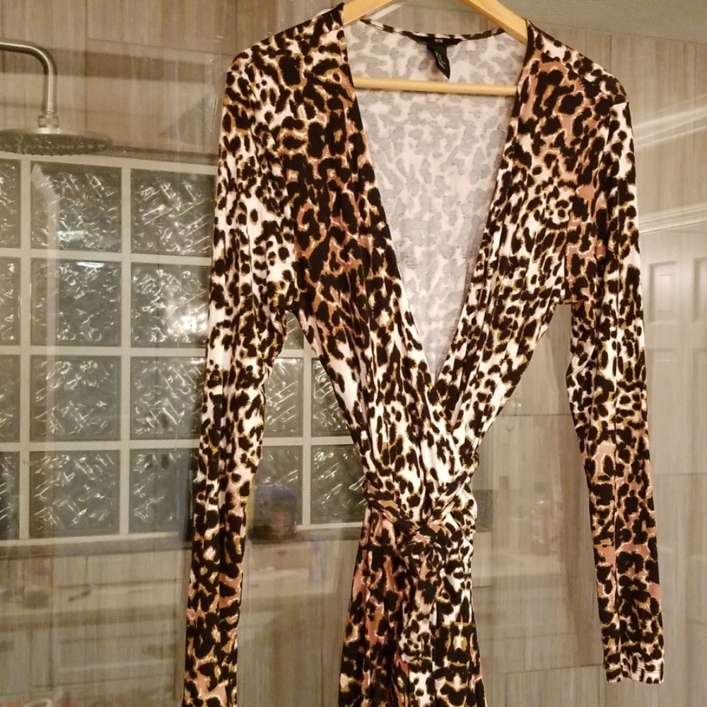 H&M Wrap Around Dress